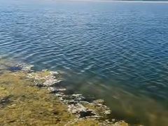-青海湖国家重点风景名胜区售票处