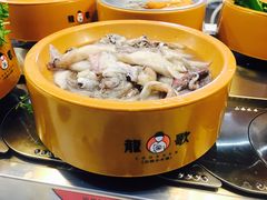 -龍歌自助小火锅(李沧丽达店)