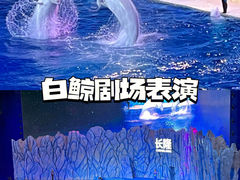 -珠海长隆海洋王国