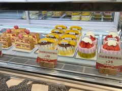 -夏佐CHASEL(横店康庄路店)