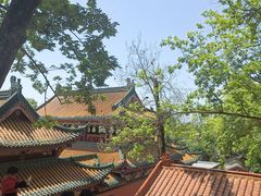 -丰都鬼城名山景区
