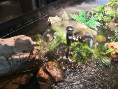 -映像威海·威海宴(威高广场店)
