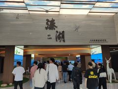 -溱湖国家湿地公园