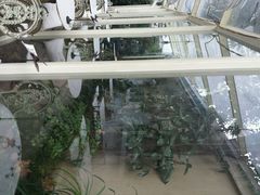 android_upload_pic-RGF(巨鹿路店)