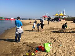 -呼兰河口湿地公园