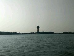 -溱湖国家湿地公园