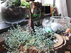 -A+匠心DIY手工坊·首饰·微景观