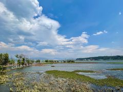 -洱海月湿地公园