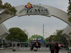 -上海鲜花港