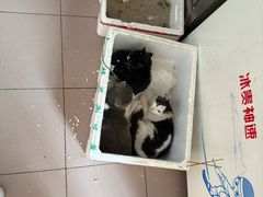 -清真·白家牛肉罩火烧老店(育才街店)