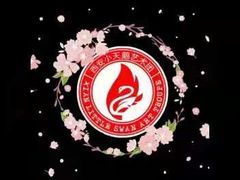 -西安小天鹅艺术团(金花路校区)