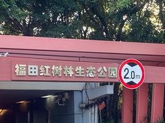 -福田红树林生态公园