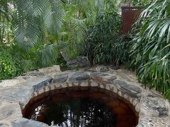 -中家鑫园温泉酒店鑫悦汤泉