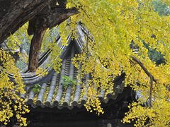 -无锡惠山寺