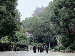 -黄鹤楼公园(黄鹤楼)