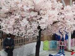 -Mr·Kuma酷么先生雪之乐园