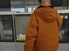 -浦江镇(地铁站)