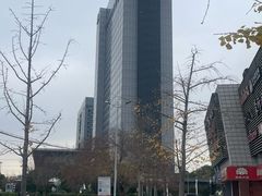 -上海浦东康桥绿地假日酒店