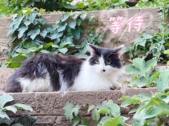 -颐和园