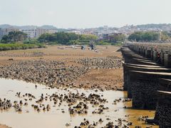 -洛阳桥
