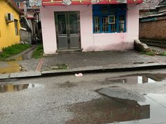-王军炸串(振八街店)