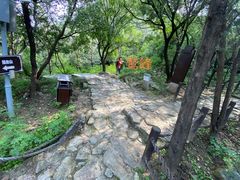 景点-阳台山自然风景区