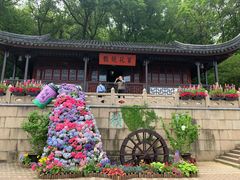 -苏州上方山国家森林公园