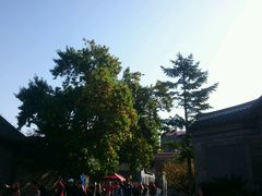 -沈阳金融博物馆