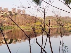 -重庆彩云湖湿地公园