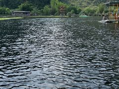 -靖西鹅泉风景区