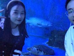 -多彩贵州城极地海洋世界