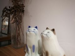 -猫里有甜