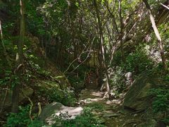 -大岭沟猕猴桃谷风景区