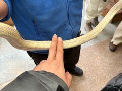-上海大自然野生昆虫馆(东方明珠·爬宠昆虫探索中心)