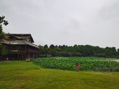 -东滩湿地公园观海楼餐厅