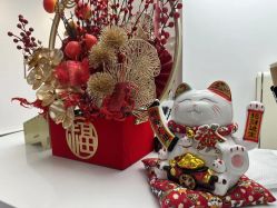 -素简女子塑形·健身普拉提