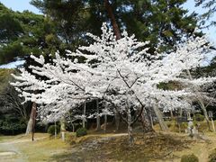 -醍醐寺