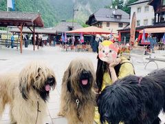 -柯尼希湖