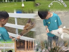 -宁波九龙湖开元度假村