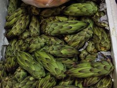 -岳各庄批发市场(西四环中路店)