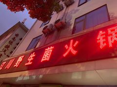 -江川野生菌火锅铜锅鱼(贵清火锅店)