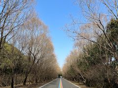 -同里湖度假村(二期店)