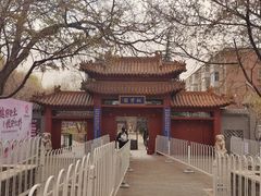 -桃花堤公园