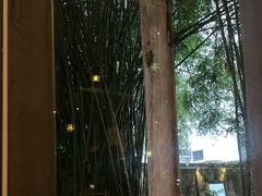 -陶享时光西餐·下午茶·竹林花园(新城店)