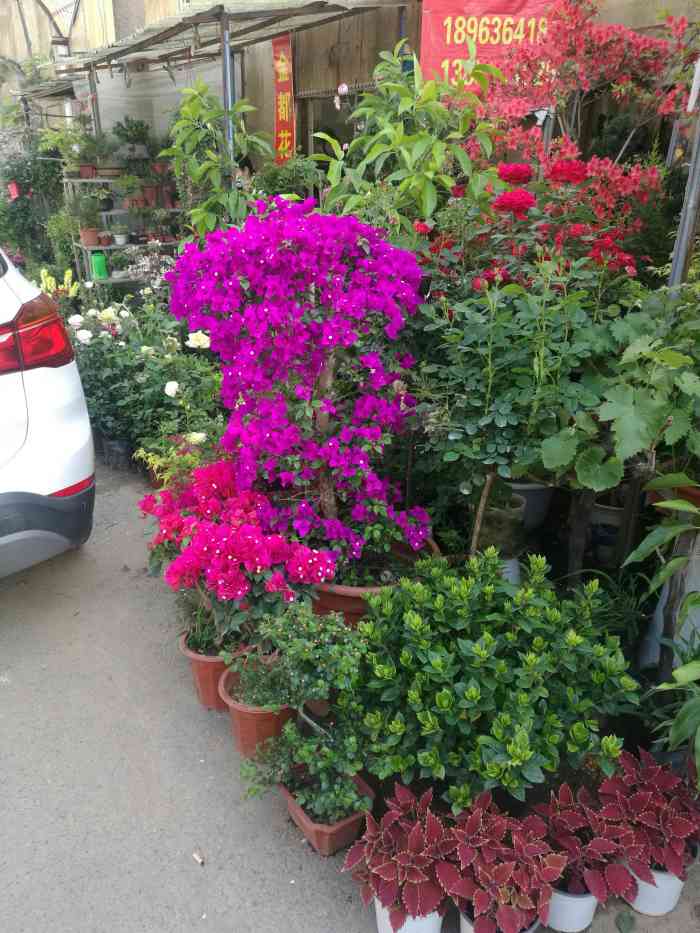 44人赞aaa_xv2020年7月4日打分距离安德门地铁站很近 搬家离这很方便