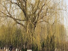-前关湿地公园