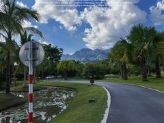 -中国科学院西双版纳热带植物园