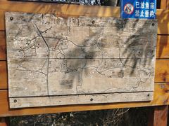 -青龙山国家森林公园