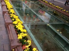 -北京路步行街-千年古道遗址