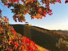 -塞罕坝国家级自然保护区